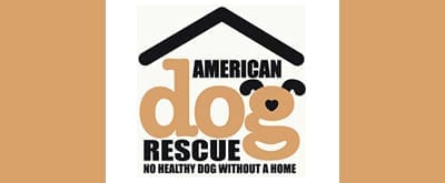 American Dog Rescue